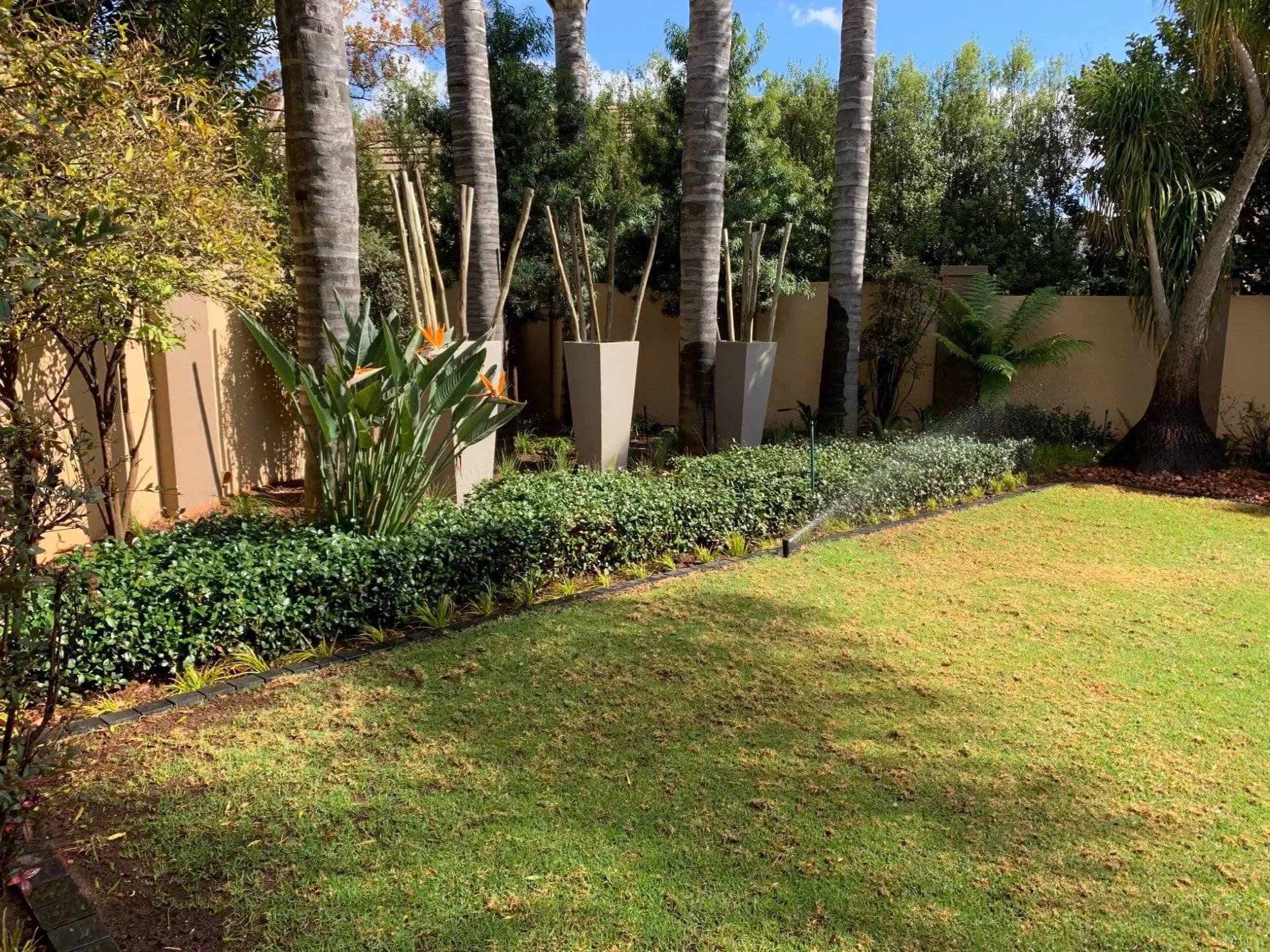 Swimming Pool Landscaping in Pretoria East — photograph 5 of 10