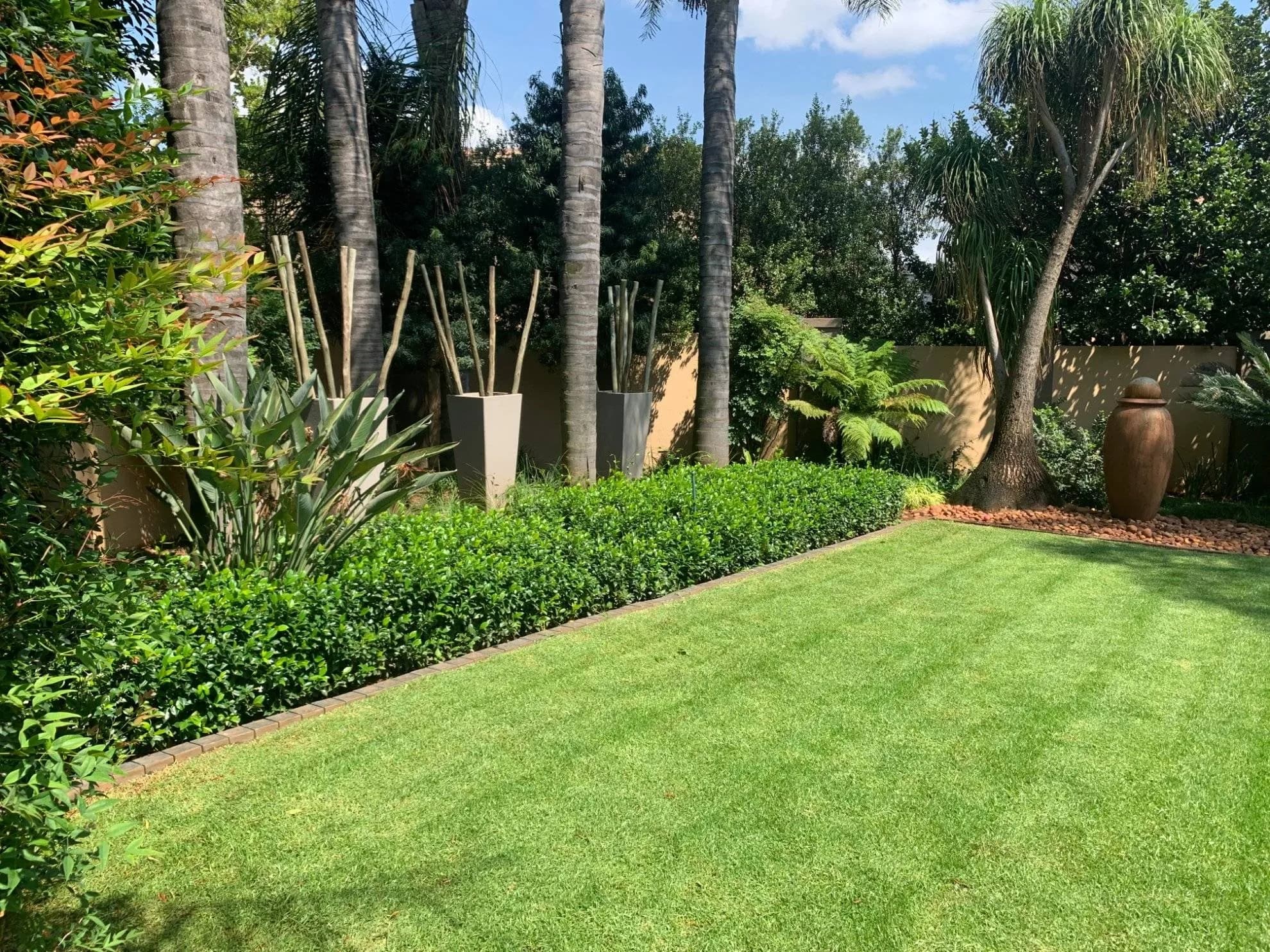 Established Turfex garden in Pretoria East with a lawn path between clipped hedges and palms