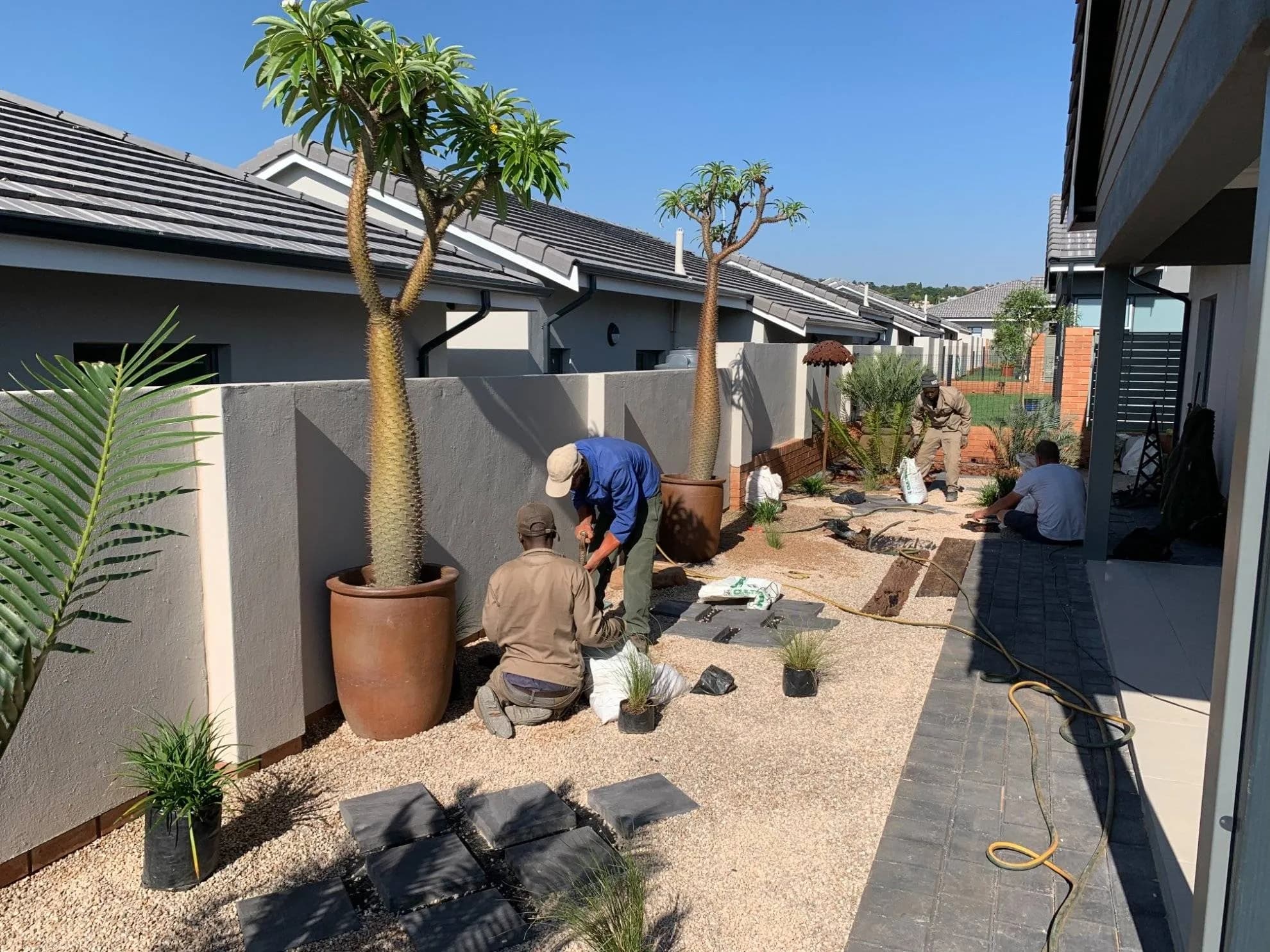 Waterkloof Landscaping in Waterkloof — photograph 4 of 19