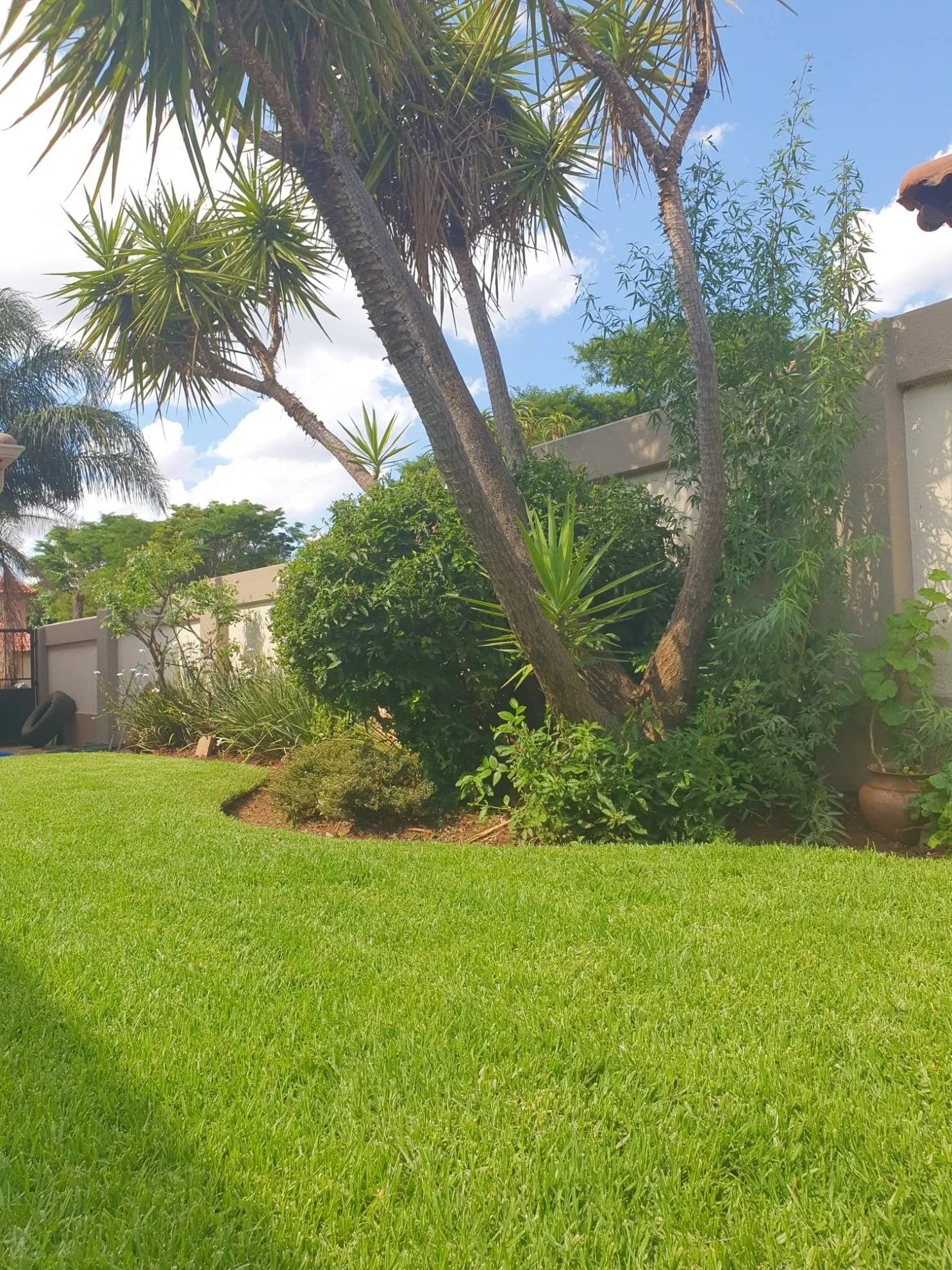 Midstream Estate Garden Service in Midstream — photograph 4 of 8