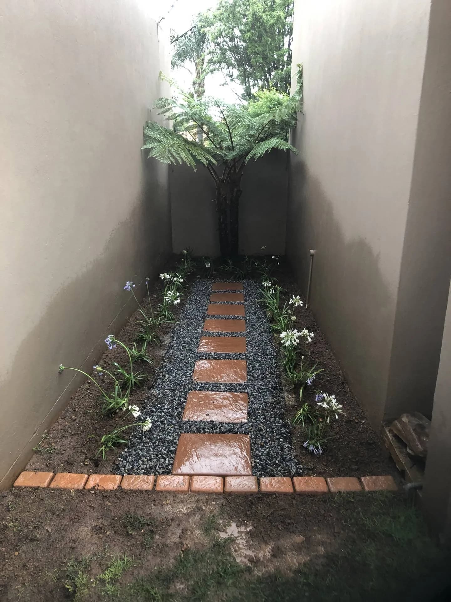 Stepping-stone path with agapanthus planting, finished by Turfex in Moreleta Park