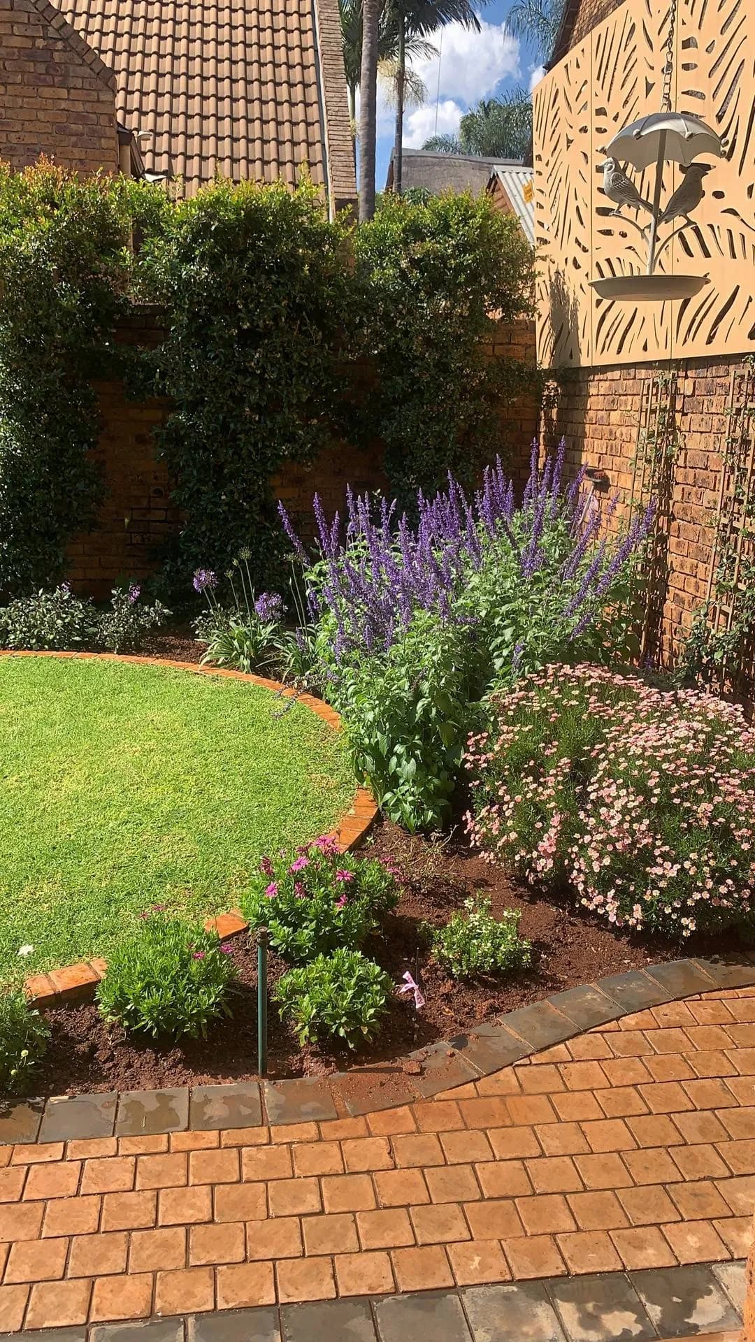 Flowering borders and clipped lawn in a Turfex-built garden in Pretoria East