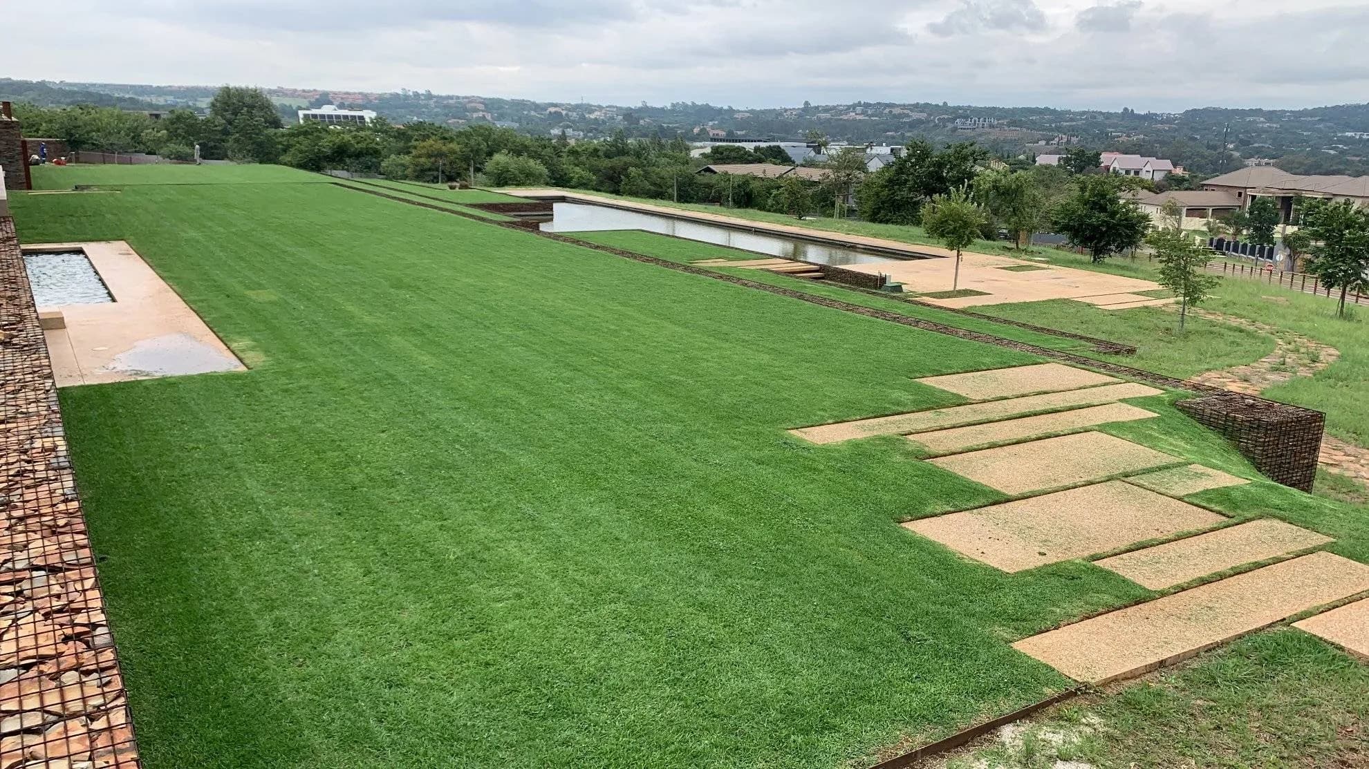 Sweeping estate lawn with sandstone steppers laid by Turfex in Mooikloof