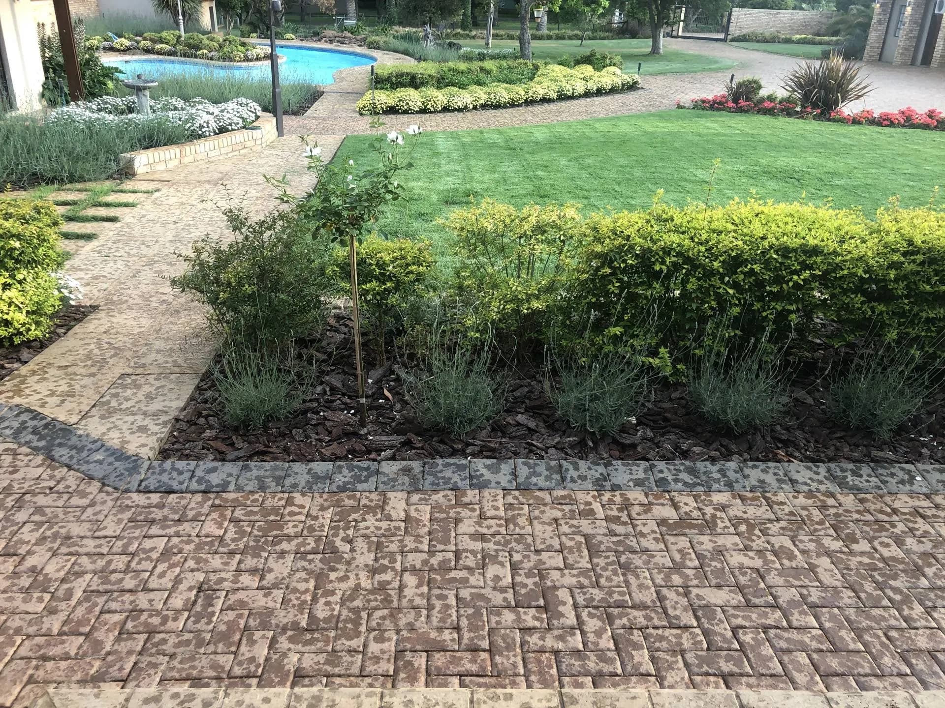 Brick-weave garden path laid by Turfex beside a pool and planted borders